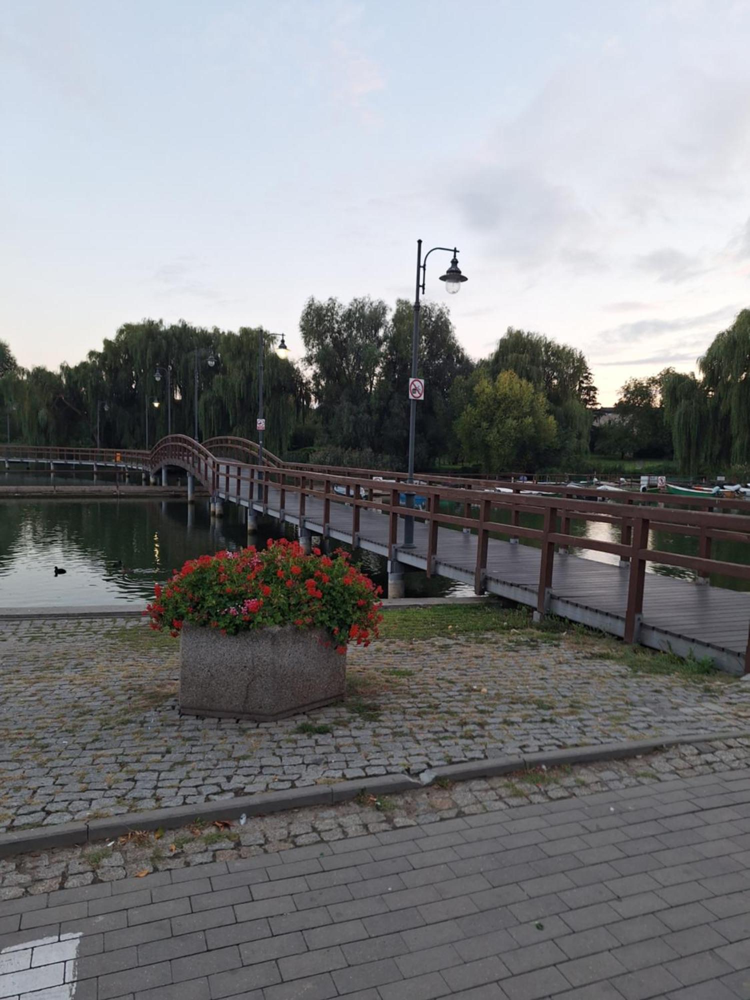 Apartament Chelmza Apartment